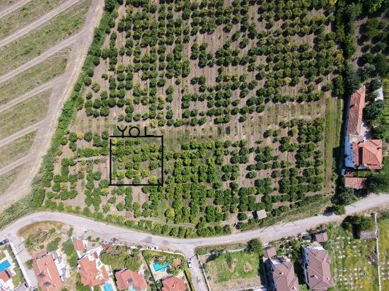 Dalyan Arikbasi location In saleable 500 m2 villa Zoned land