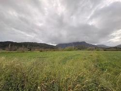 7,088 M2 Shared Land For Sale In Mergenli Neighborhood, Ortaca, Muğla.