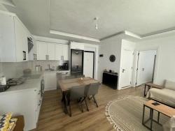 Large 1+1 Flat With Wardrobe And Shutters, Unfurnished For Rent In Ortaca Çaylı