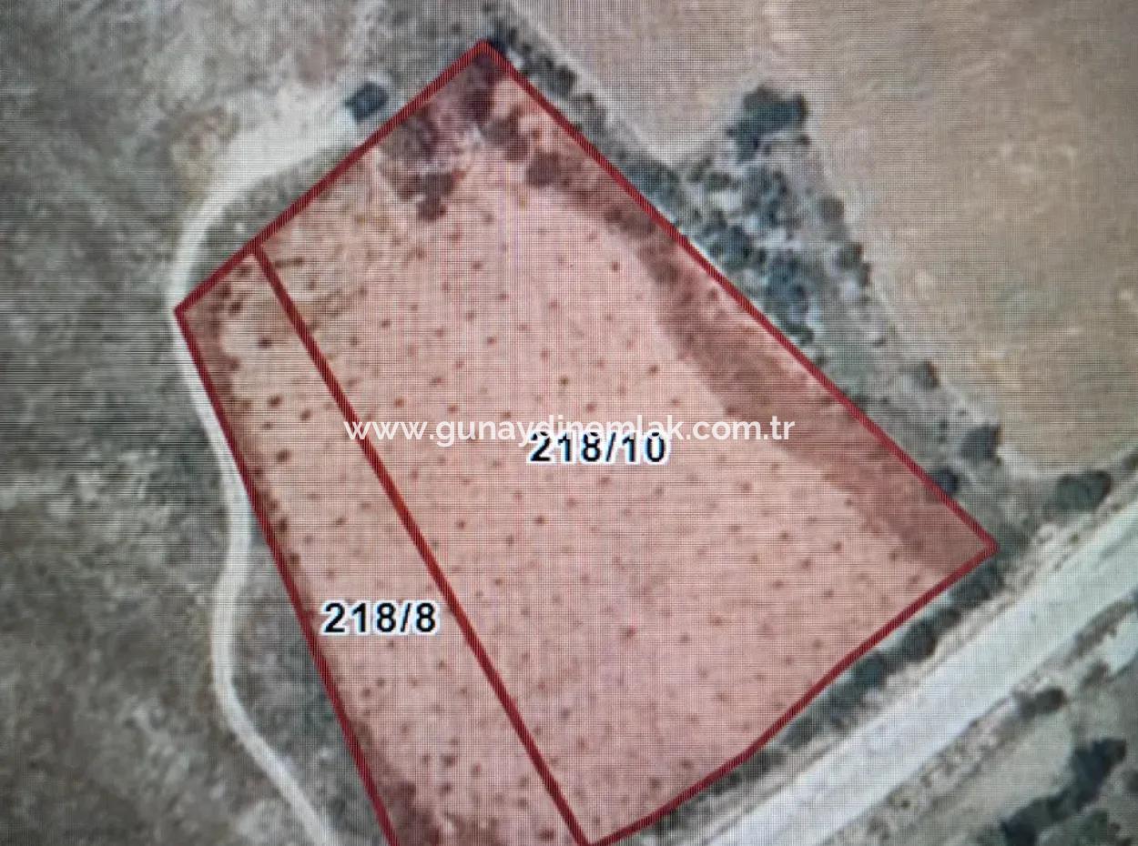 10378 M2 Single Title Deed Field For Sale In Burdur Gölhisar Evcilar