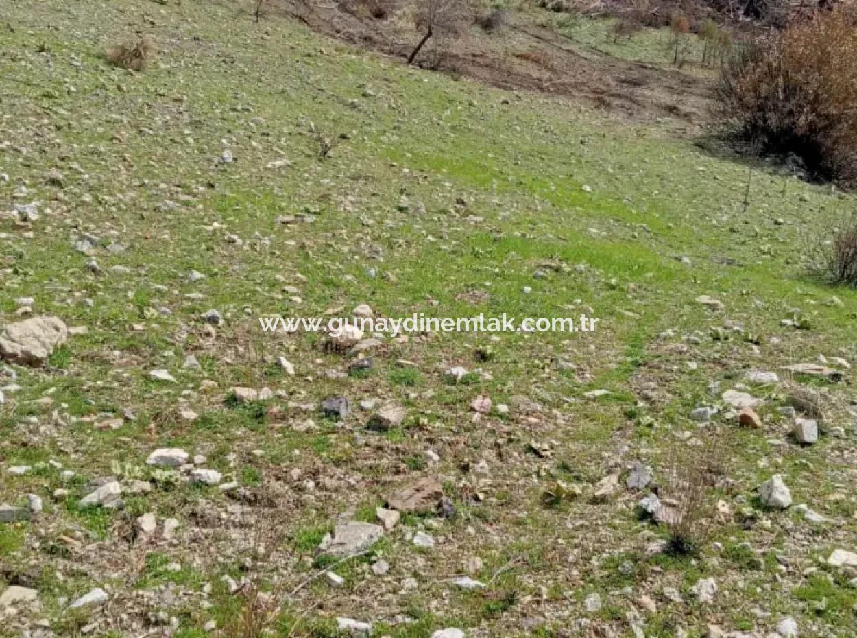 8000 M2 Single Title Deed Field For Sale In Dalaman Elcik