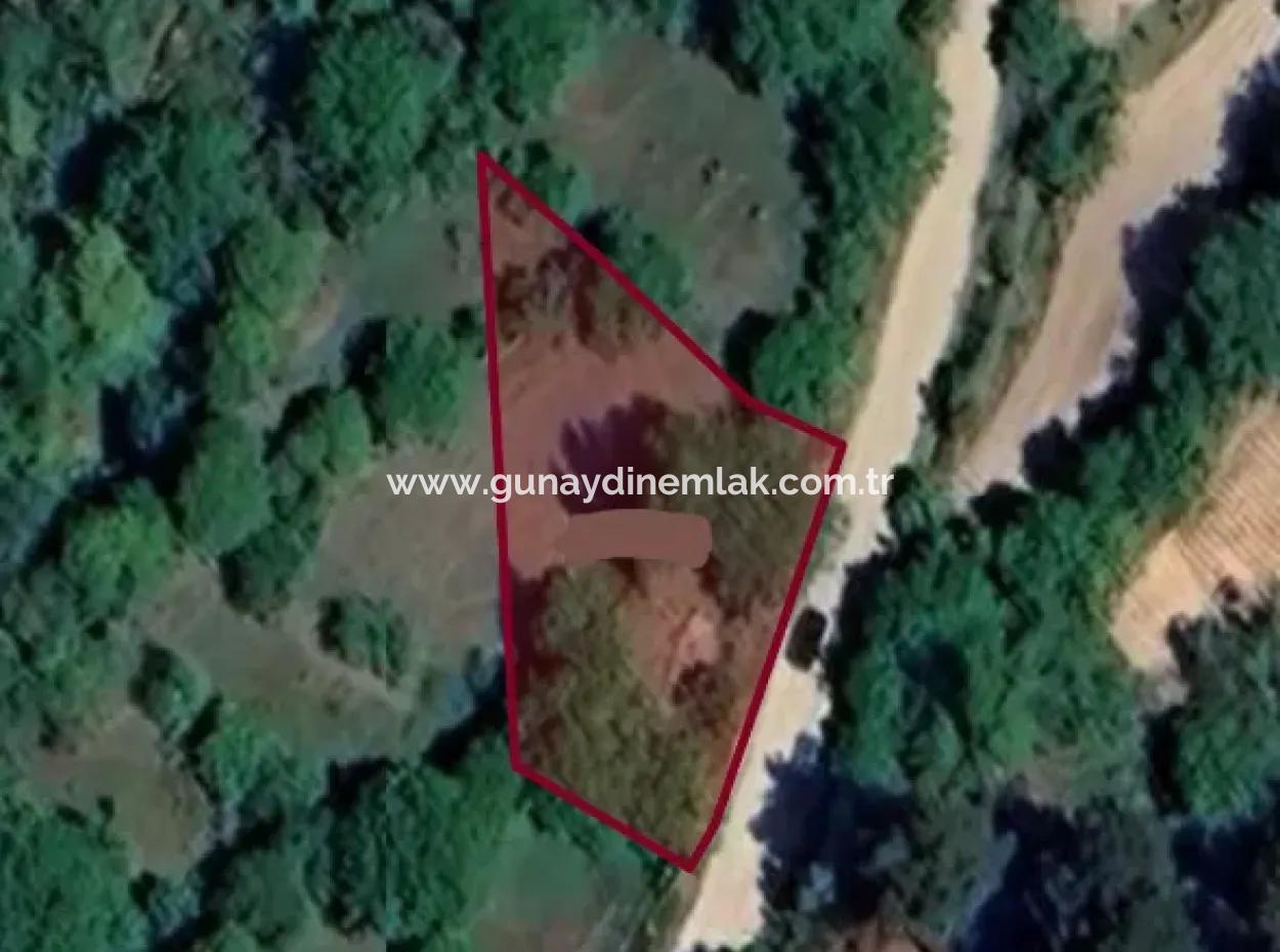 828 M2 Single Title Deed Field For Sale In Denizli Tavasta