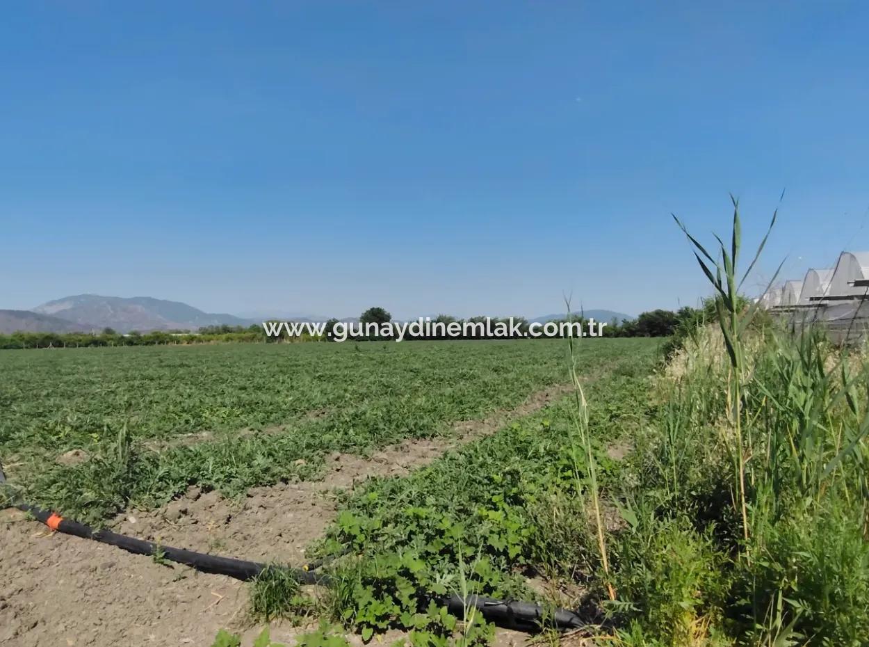28 Acres Of Land For Sale In Arıkbaşı
