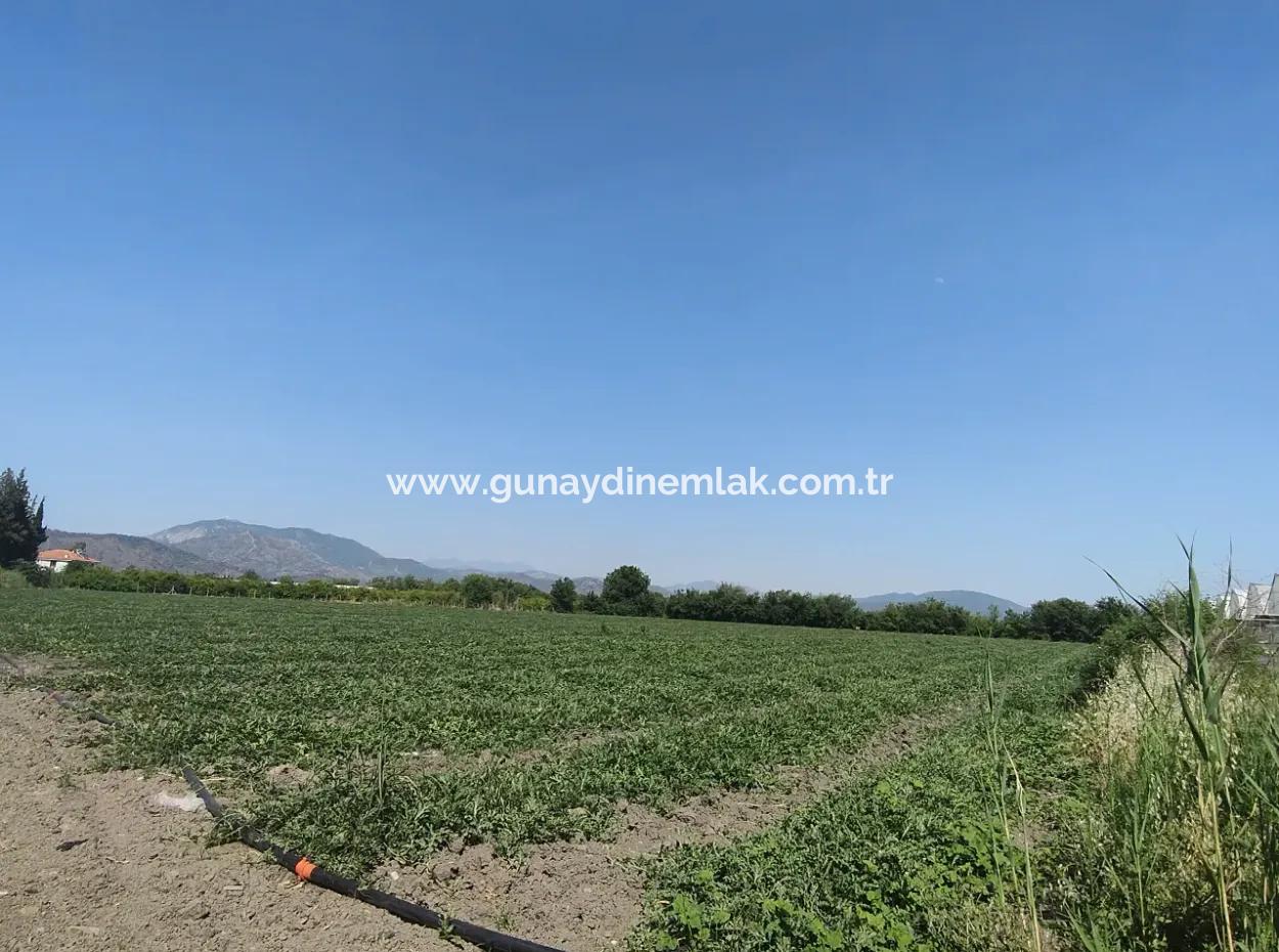 28 Acres Of Land For Sale In Arıkbaşı