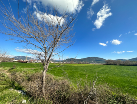 Dalaman Hürriyet Mahallesi 505 M2 0 2 Kat Zoned Land Is For Sale