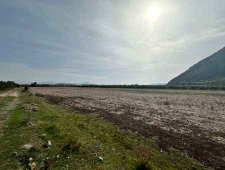 12 Acres Of Single Title Deed Investment Field For Sale In Ortaca Yeşilyurt