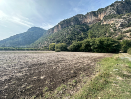 12 Acres Of Single Title Deed Investment Field For Sale In Ortaca Yeşilyurt