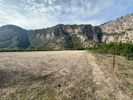 12 Acres Of Single Title Deed Investment Field For Sale In Ortaca Yeşilyurt