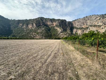 12 Acres Of Single Title Deed Investment Field For Sale In Ortaca Yeşilyurt