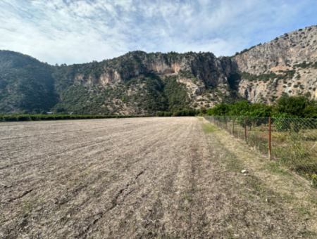 12 Acres Of Single Title Deed Investment Field For Sale In Ortaca Yeşilyurt