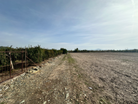 12 Acres Of Single Title Deed Investment Field For Sale In Ortaca Yeşilyurt