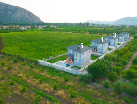4 1 Furnished Villa For Rent With Pool In Dalyan Okçular