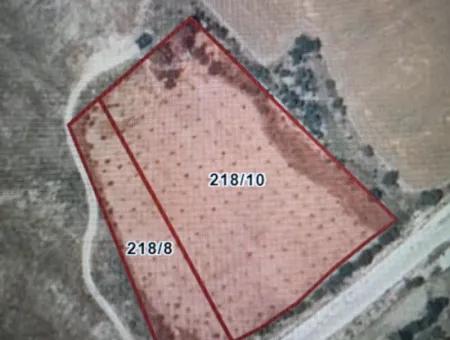 10378 M2 Single Title Deed Field For Sale In Burdur Gölhisar Evcilar