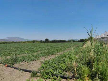 28 Acres Of Land For Sale In Arıkbaşı