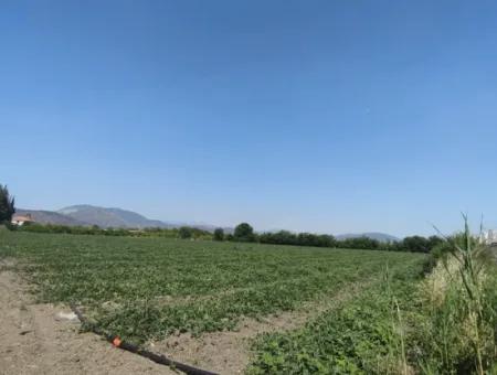 28 Acres Of Land For Sale In Arıkbaşı