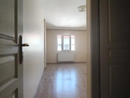 3 1 Apartments For Rent In The Center Of Ortaca