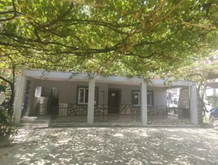 2 1 Apartments For Rent In Karaburun Neighborhood