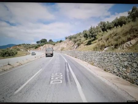 Muğla Milas Bafa Da 271 M² Single Title Deed Olive Grove