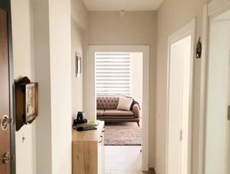 Ege Holiday Site Luxury Furnished 2 1 Flat For Rent With Pool