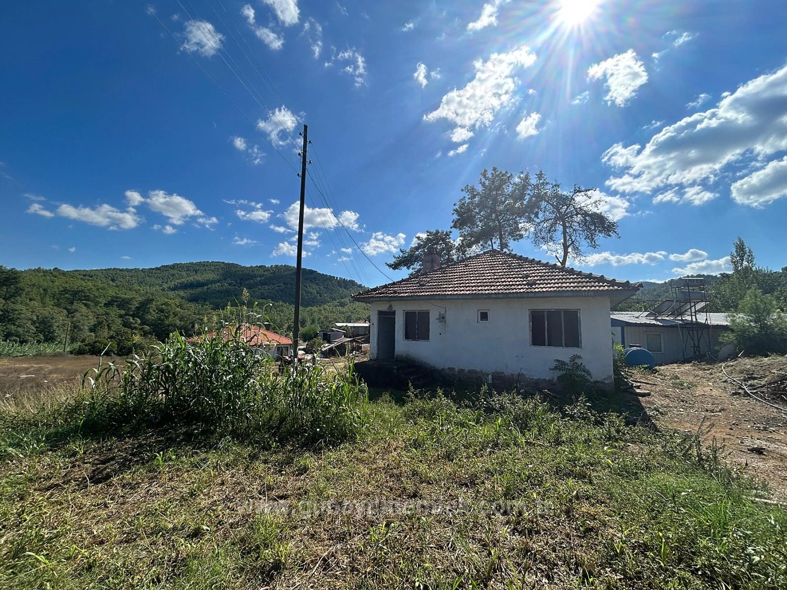 Общее Поле Площадью 1675 М² На Продажу В Кёйджегиз Пынаркей