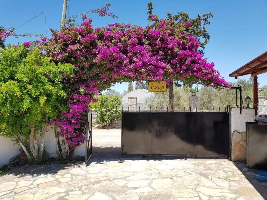 Компания Günaydın Real Estate Предлагает На Продажу Виллу С 2 Спальнями И 1 Ванной Комнатой, А Также Бассейном, Расположенную На Участке Площадью 1357 М2 В Дальяне.