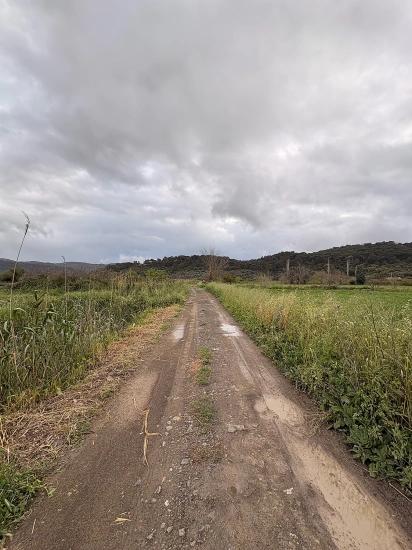 Продается Земельный Участок Общей Площадью 7088 М2 В Районе Мергенли, Ортаджа, Мугла.