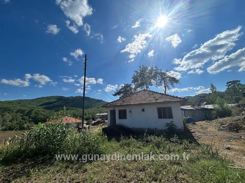 Для Продажи Поле в Pınar Köyceğiz - Под Поле застройку - 16.964 m²