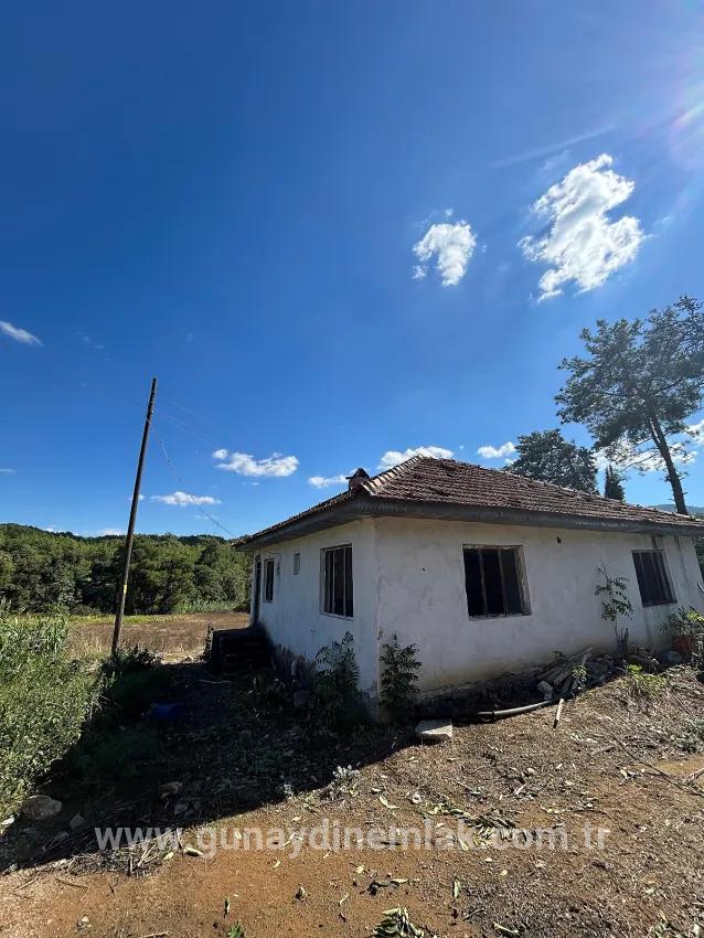 Для Продажи Поле в Pınar Köyceğiz - Под Поле застройку - 16.964 m²