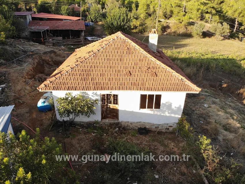 Для Продажи Поле в Pınar Köyceğiz - Под Поле застройку - 16.964 m²
