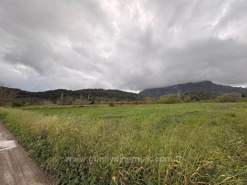 Muğla Ortaca Mergenli Mah. 7.088 M2 Hisseli Satılık Tarla