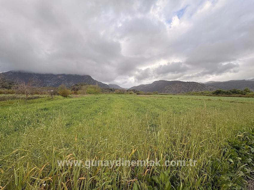 Ortaca Mergenli Mah. Satılık Tarla - Tarla İmar Durumlu - 7.088 m²