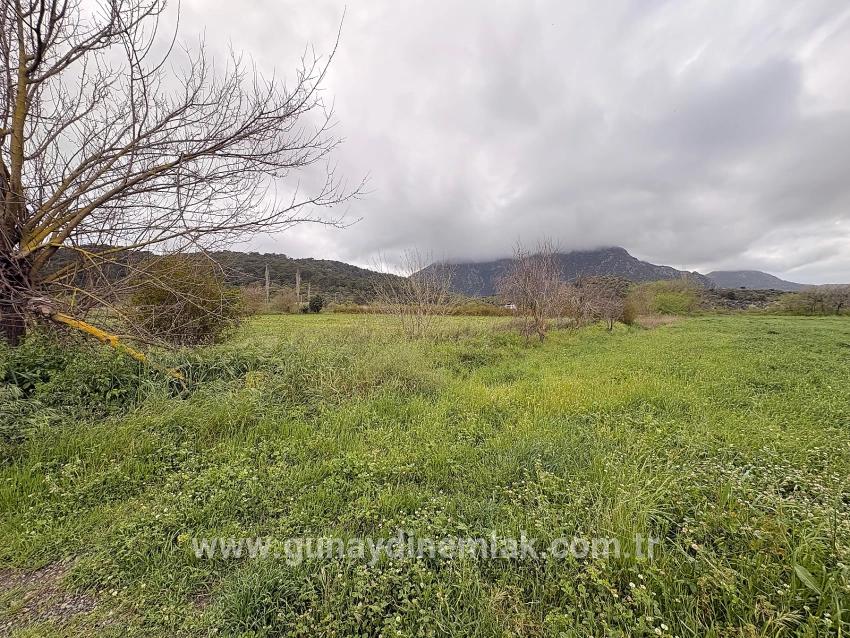 Ortaca Mergenli Mah. Satılık Tarla - Tarla İmar Durumlu - 7.088 m²