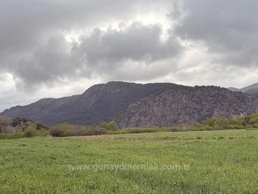 Muğla Ortaca Mergenli Mah. 7.088 M2 Hisseli Satılık Tarla