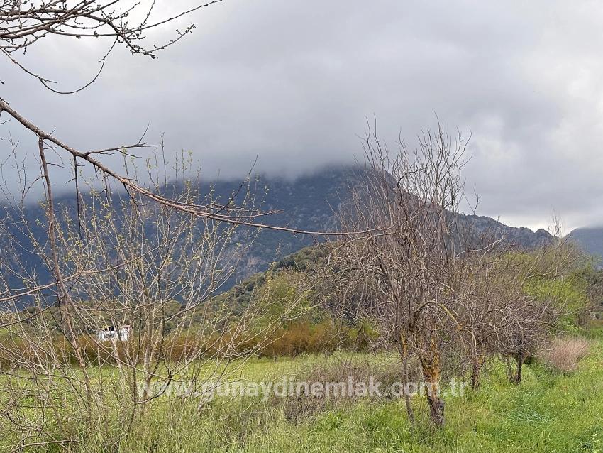 Ortaca Mergenli Mah. Satılık Tarla - Tarla İmar Durumlu - 7.088 m²