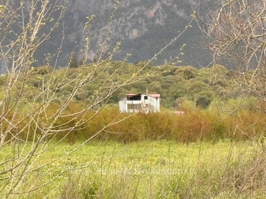 Muğla Ortaca Mergenli Mah. 7.088 M2 Hisseli Satılık Tarla