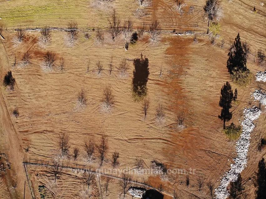 Köyceğiz Çövenli Yaylasında 1.100 M² Satılık Tarla