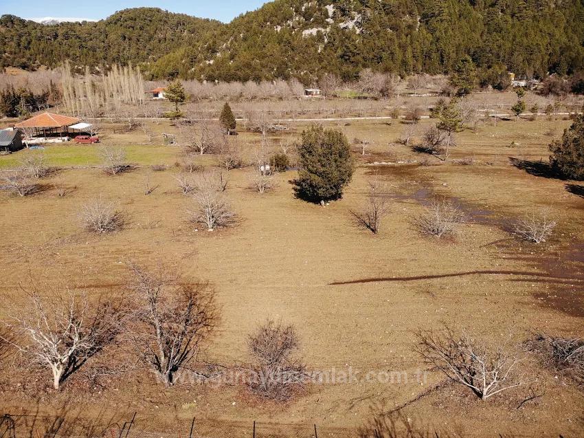 Köyceğiz Çayhisar Mah. Satılık Tarla - Tarla İmar Durumlu - 1.100 m²