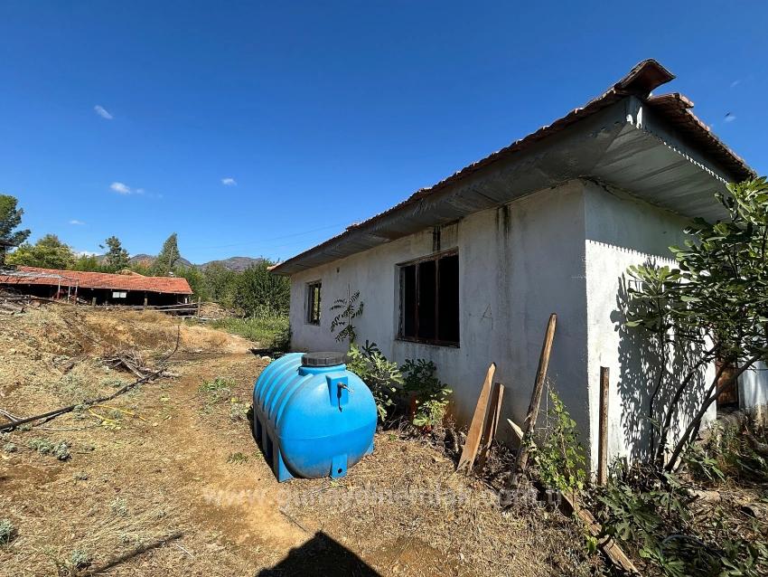 Köyceğiz Pınarköyde 1675 M² Hisseli Satılık Tarla