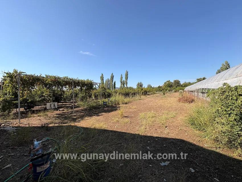 Ortaca Çaylı Mah. Satılık Tarla - Tarla İmar Durumlu - 1.870 m²
