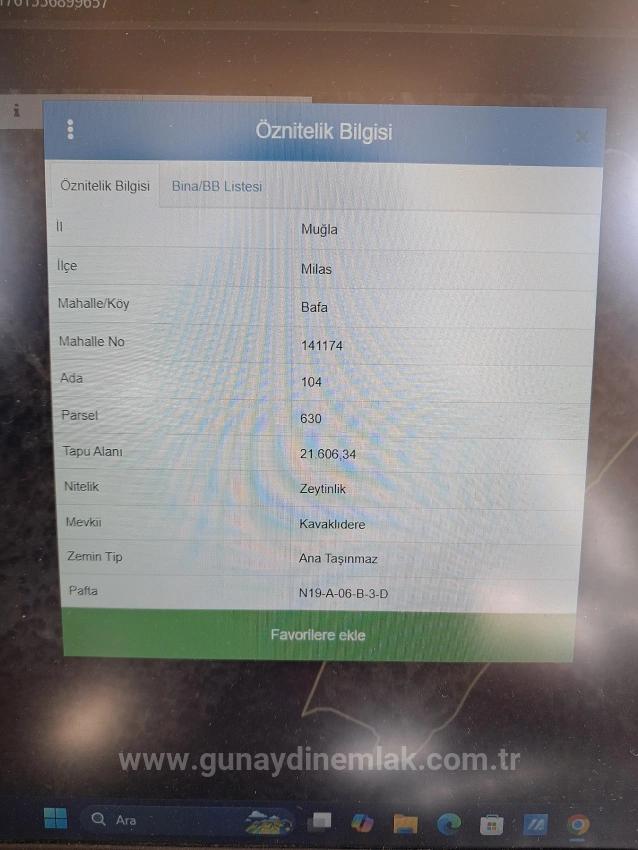Günaydın Emlaktan Milas Bafada 3.200 M2 Satılık Hisseli Satılık Zeytinlik