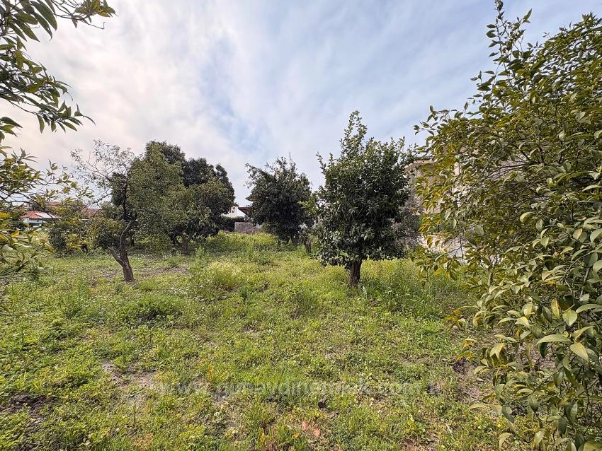 Muğla Köyceğiz Gelişim Mah. 600 M2 Tek Tapu İmarlı Arsa