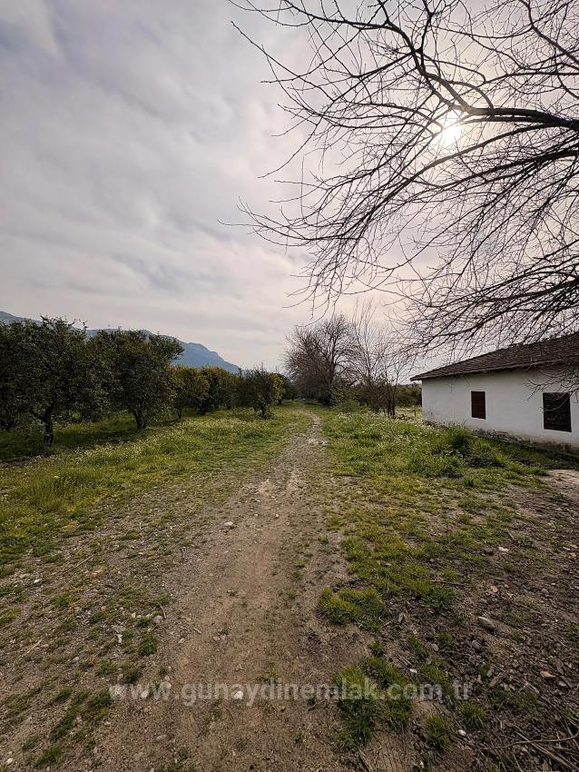 Muğla Köyceğiz Gelişim Mah. 600 M2 Tek Tapu İmarlı Arsa