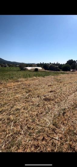 Denizli Çamelide 993 M² Tek Tapu Satılık Tarla