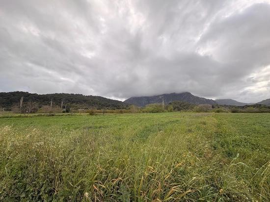 Muğla Ortaca Mergenli Mah. 7.088 M2 Hisseli Satılık Tarla