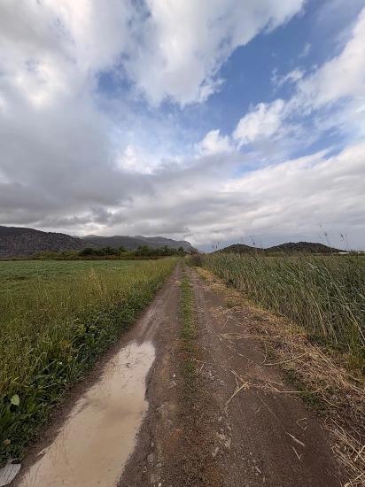 Muğla Ortaca Mergenli Mah. 7.088 M2 Hisseli Satılık Tarla