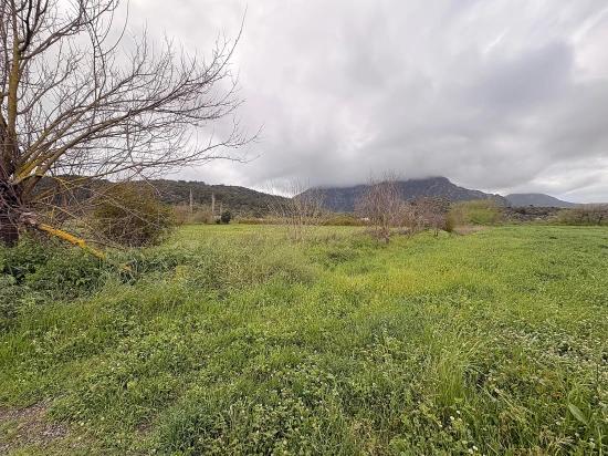 Muğla Ortaca Mergenli Mah. 7.088 M2 Hisseli Satılık Tarla