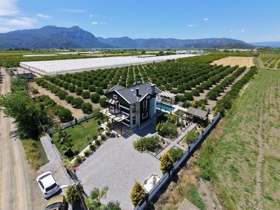 Dalyan Eskiköy De 11 Dönüm Tek Tapu Satılık Tarla