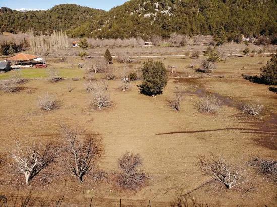 Köyceğiz Çövenli Yaylasında 1.100 M² Satılık Tarla