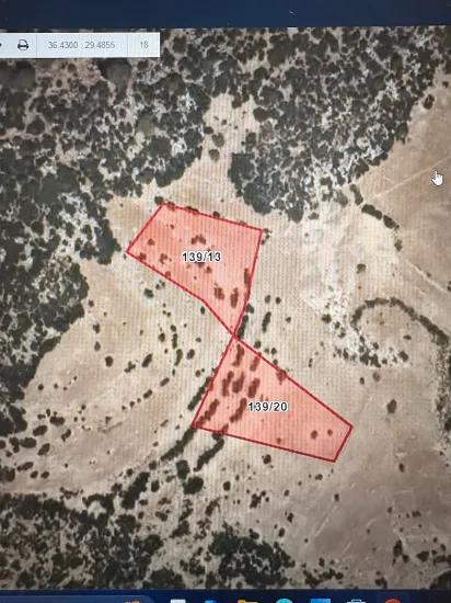 Kaş Yayla Palamut Da Satılık 3.350 M2 Tarla - Müstakil Parsel | Bu Fiyat Parsel 20 İçindir