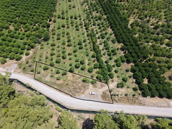 Ortaca Çaylı'da Satılık 1,636 M2 Tarla - Tek Tapu